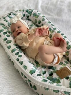 Baby Nest | Organic Baby Nest – Eucalyptus -Baby Products Store Baby in baby nest leafy 1512x2016