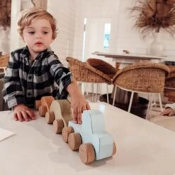 Rainbow Car Set| By Euca Toys| Solid Beechwood