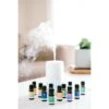 Eco Modern Essential Oils Ultimate Wellbeing Collection 10ml X 12 Pack
